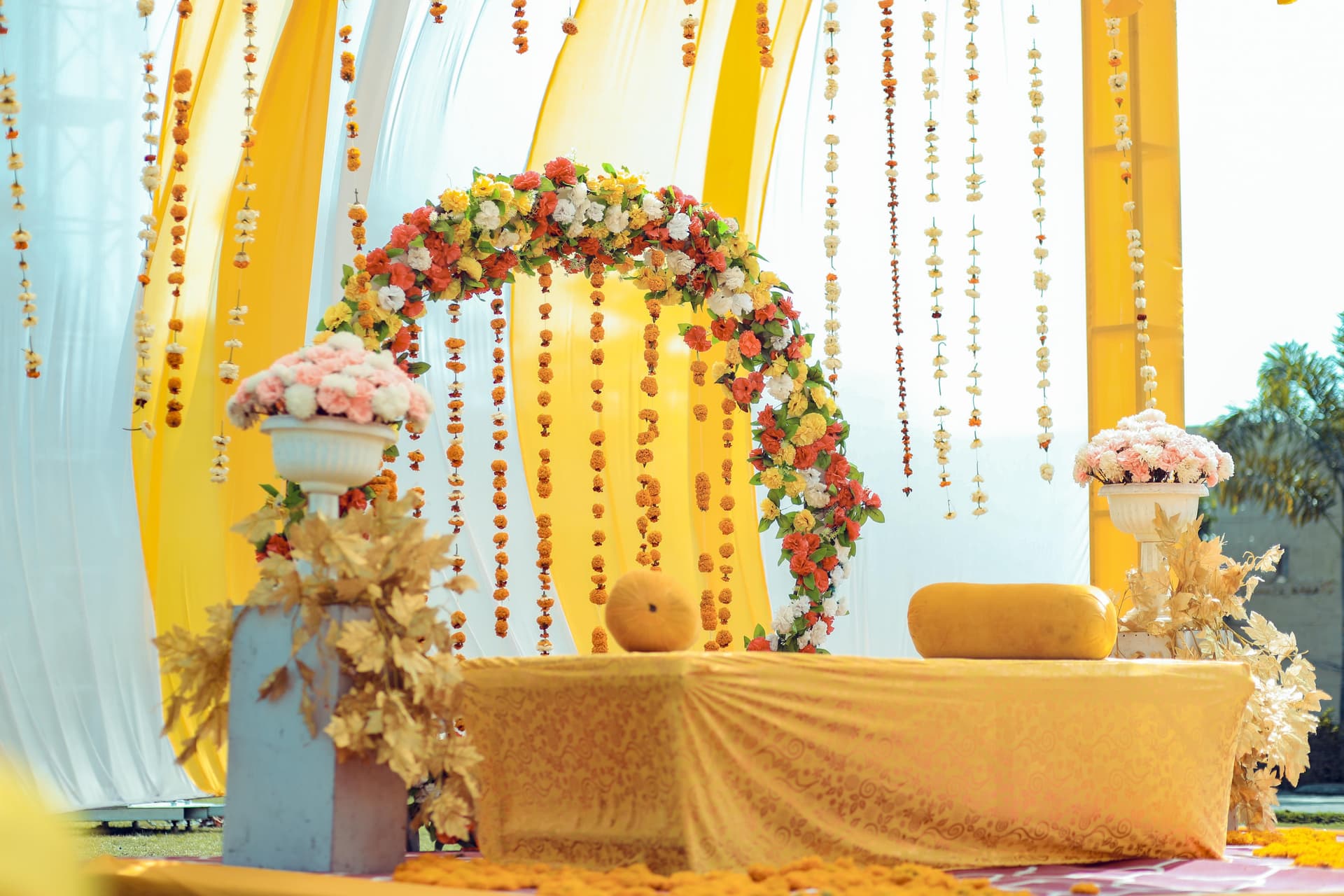 Yellow Theme Close-up - Main View
